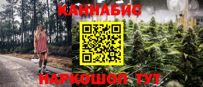 Альфа ПВП Сланцы