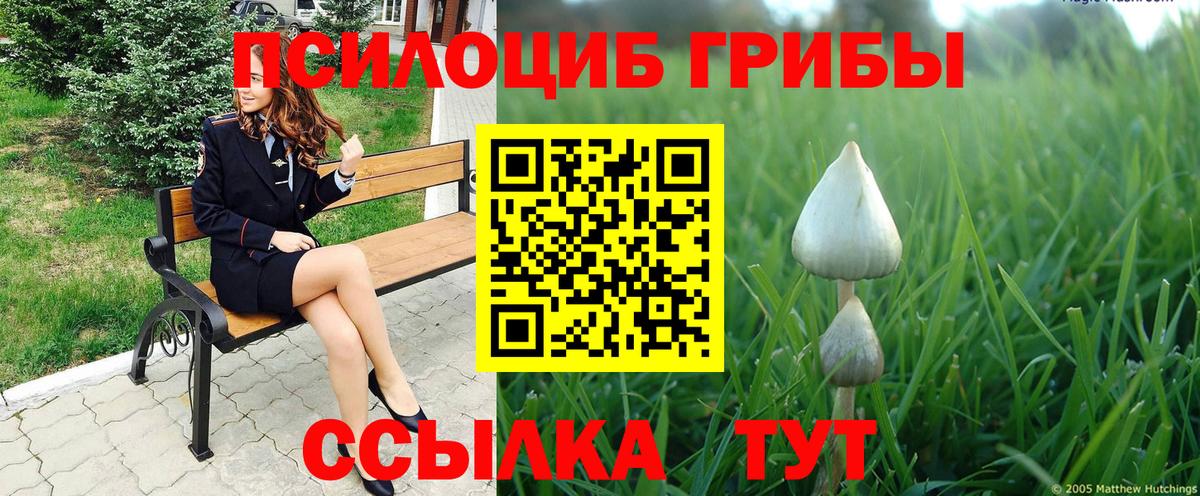 Новосибирск  где купить   Вход с VPN  Псилоцибиновые грибы Magic Shrooms  Галлюциногенные грибы мицелий 